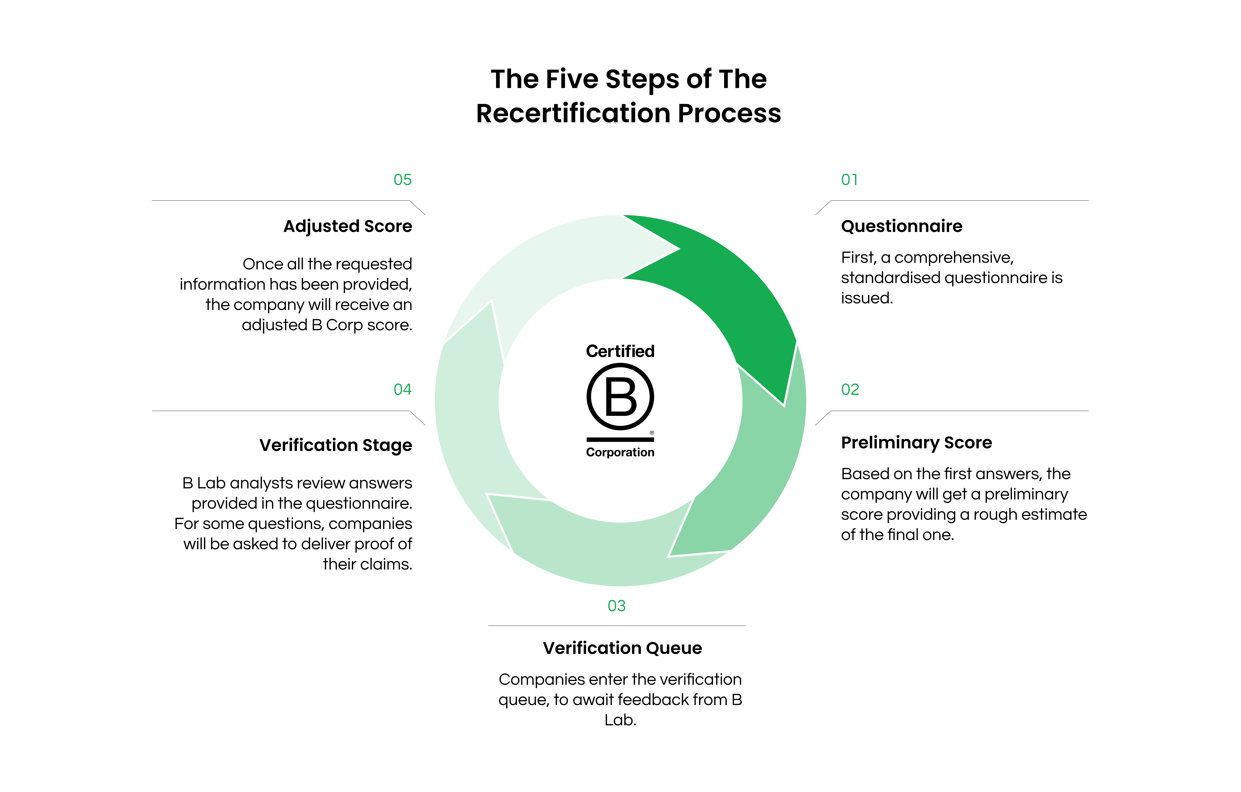 Our B Corp Journey